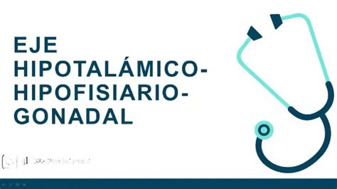 EMBRIOLOGÍA EJE HIPOTALÁMICO HIPOFISIARIO GONADAL Leo de medicina