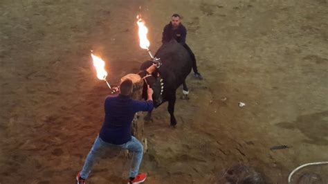 Festejos Taurinos en Castellnovo 2024 Toro Embolado Ganadería Luis