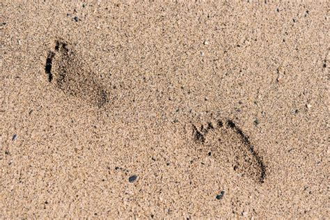 123 Kids Footprints Beach Stock Photos - Free & Royalty-Free Stock Photos from Dreamstime