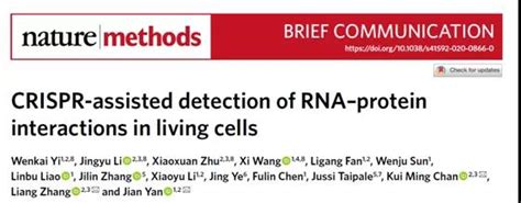 科学网—西北大学香港城市大学团队联合开发carpid新技术，助力非编码rna研究 小柯生命的博文