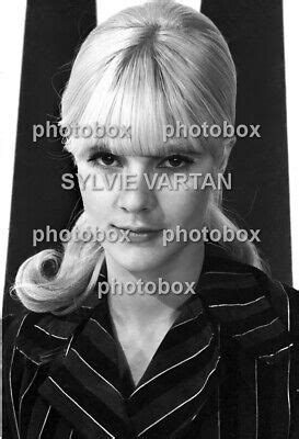 Sylvie Vartan Exclusive Rare Photo N Eur Picclick Fr