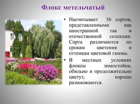 цветоводство | PPT