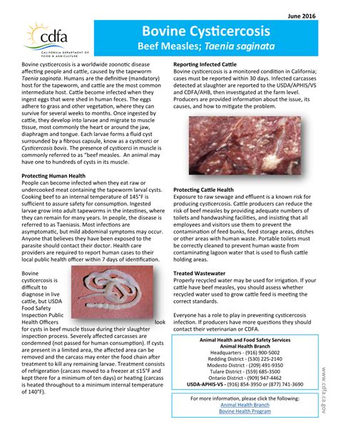 Bovine Cysticercosis Beef Measles Taenia Saginata Docslib