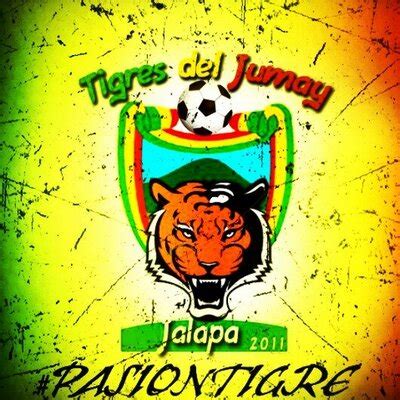 Tigres Del Jumay Tigresdeljumay Twitter