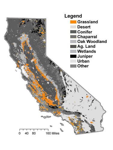 North American Annual Grassland Wrangle