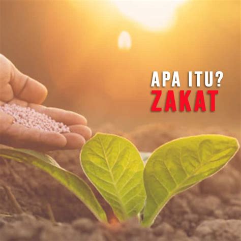 Apa Itu Wakaf Produktif Badan Amil Zakat Mai Foundation Riset