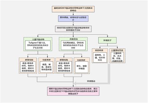 如何绘制一幅让论文导师眼前一亮的技术路线图？硕士论文技术路线图 Csdn博客