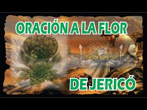 Descubre el poder de la oración Rosa de Jericó cómo usarla para atraer