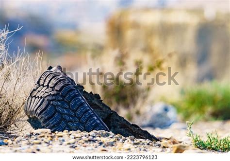 Destroyed Rubber Car Tire On Nature Stock Photo Shutterstock