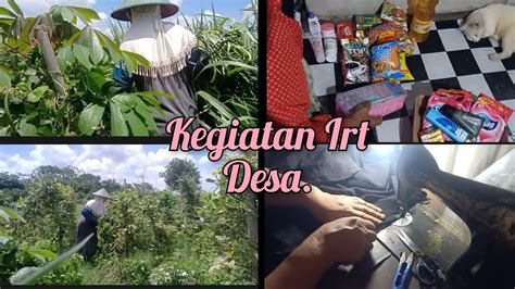 Daily Vlog Kegiatan Irt Desa Di Rumah Desa Youtube