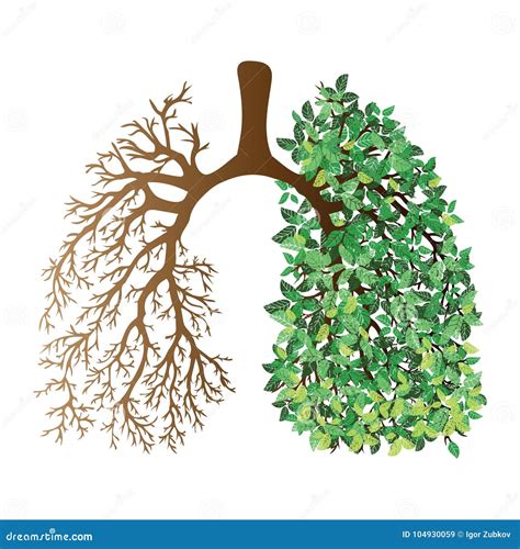 Related image