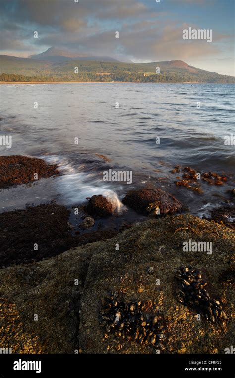 Looking Across Brodick Bay Isle Of Arran Scotland United Kingdom