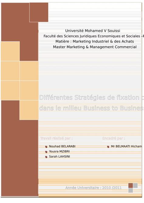 PDF Différentes Stratégies de fixation de prix dans le I Quelles