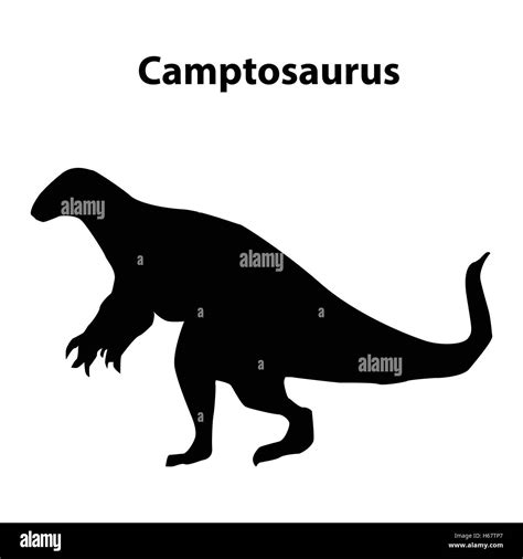 Camptosaurus Dinosaur Silhouette Stock Vector Image Art Alamy