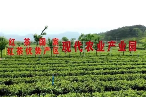 广东：推动城乡区域协调发展向着更高水平和更高质量迈进 广东省农业农村厅网站