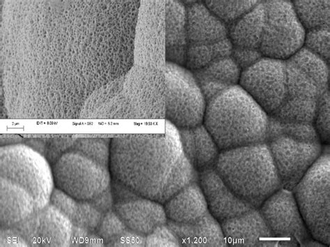 Shows Top View SEM Images Of Nanoporous Cr Film Formed At The Bottom