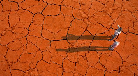 dried  images browse  stock  vectors  video adobe