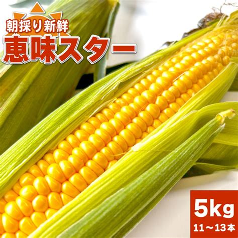 【6月〜7月初め限定】朝採りとうもろこし 恵味スター 5kg（11〜13本） めぐみスター 予約 トウモロコシ コーン 甘い 新鮮 朝採れ