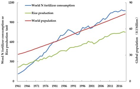 Life Free Full Text Improving Nitrogen Use Efficiency In Rice For