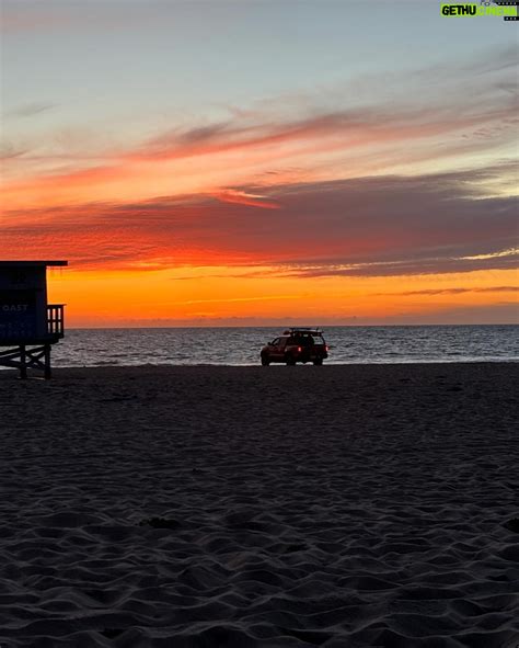 is salish matter vegetarian 1