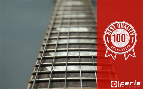 7 meilleurs manches de guitare électrique Guide Feria Musica