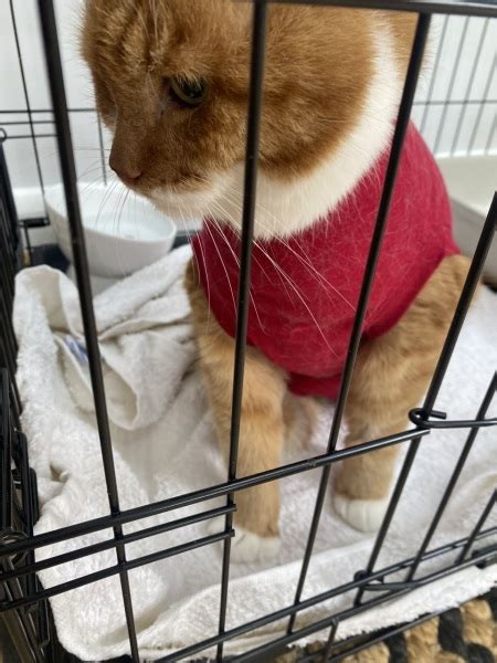 Off His Tits And Stuck In A Onesie Mumsnet