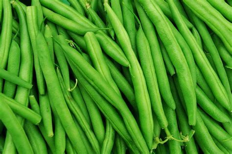 Haricot Vert Extra Fin Comme La Ferme