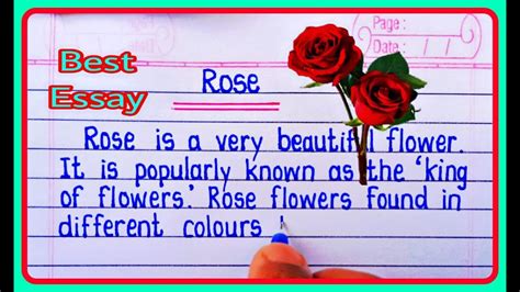 Essay On Rose Rose Essay In English Writing Few Lines About Rose