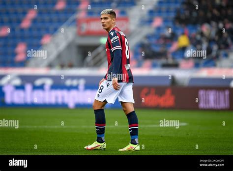 Nicolas Dominguez Portrait Hi Res Stock Photography And Images Alamy