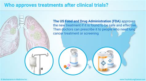 Slide Show Understanding Clinical Trials In Lung Cancer