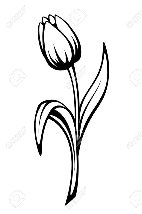 Vector Black Contour Of A Tulip Flower Isolated On A White Background