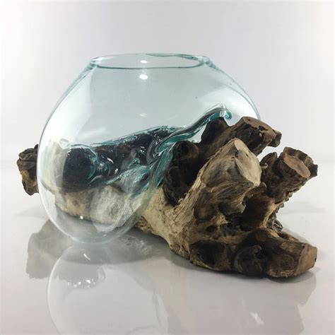 Root Wood And Glass Art Decor Pot For Aquarium Or Terrarium Home Decor