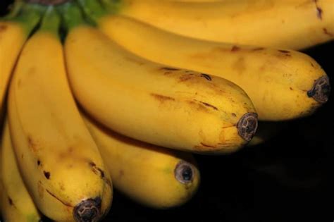 The Viral Filter Frenzy: 5 Essential Steps To Creating Epic Banana Selfies