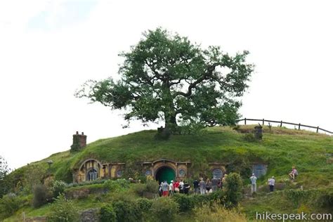 Hobbiton Movie Set New Zealand