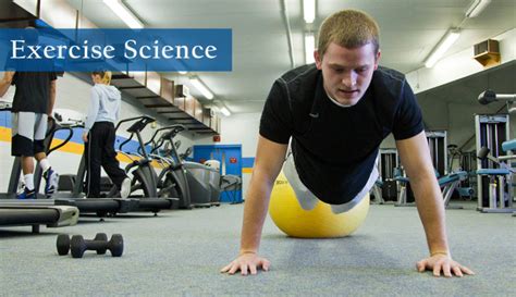 Earning an Online Degree in Exercise Science: A Complete Guide