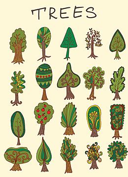 Hand Drawn Tree Set Doodle Vector Background Pine Palm Chestnut Vector