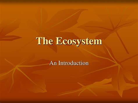 Ppt The Ecosystem Powerpoint Presentation Free Download Id 4223904