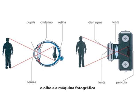 Como Funciona A Camara Escura - PIBID 3 Artes Visuais: Câmara Escura no II Encontro do PIBID UFPEL