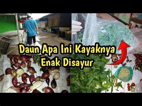 Sayuran Hijau Seger Segini Banyak Mulung Di Hujan Deras Melimpah We Are