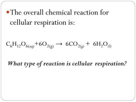 Ppt Chapter 2 Cellular Respiration Powerpoint Presentation Free