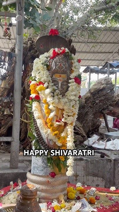 happy mahashivratri shiva shivratri mupkal marichetumuchatlu