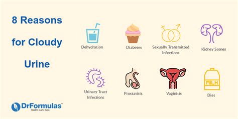 What Does Cloudy Urine Mean Overview Of Causes And Treatments Drformulas