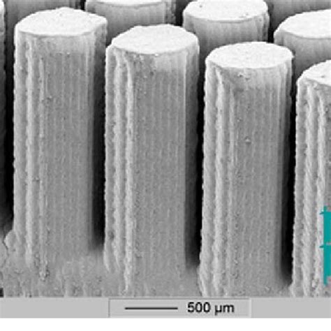 Sem Micrograph Of Lead Zirconate Titanate Pzt Columns Made By Lpim