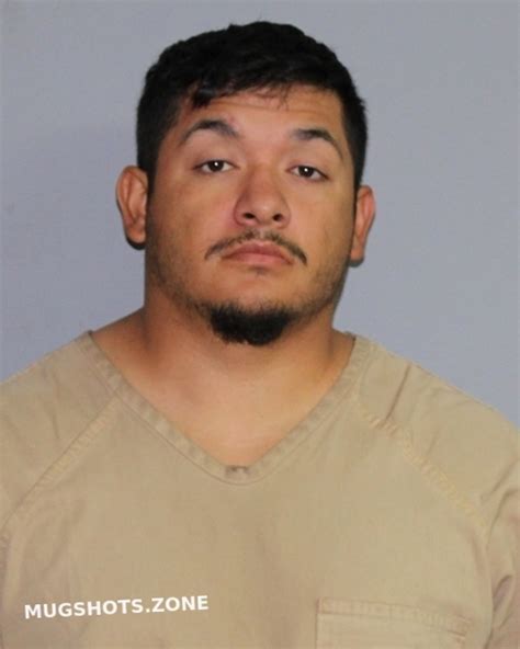 Garza Adrian Crispyn Jr Palo Pinto County Mugshots Zone