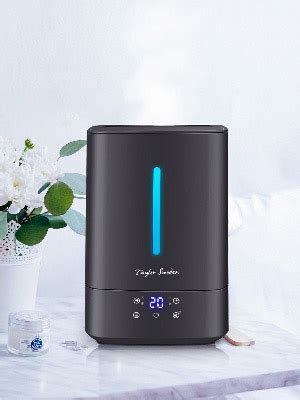 Taylor Swoden 5L Ultrasonic Humidifier Warm & Cool Mist, Quiet Top-Fill ...