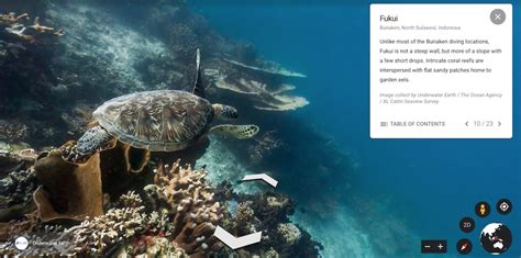 Dive Into A Virtual Ocean with Google Earth | Reef Builders | The Reef and Saltwater Aquarium Blog