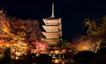 To ji Tempel in Kyōto Alle Infos für deinen Besuch