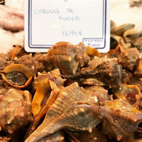 cañailla de san carlos de la rápita pescaderia online