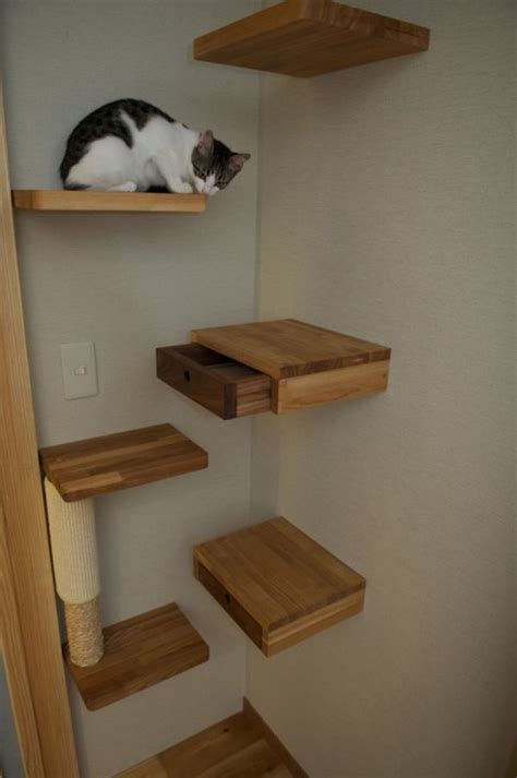 25 Easy Diy Corner Shelves To Beautify Your Room 22 Cat Wall Shelves