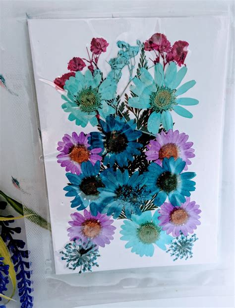 Flores Secas Prensadas En Color Mixto Floral Resina Etsy